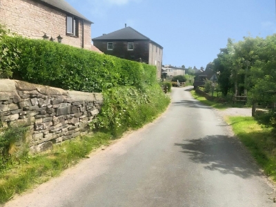 Picture 35